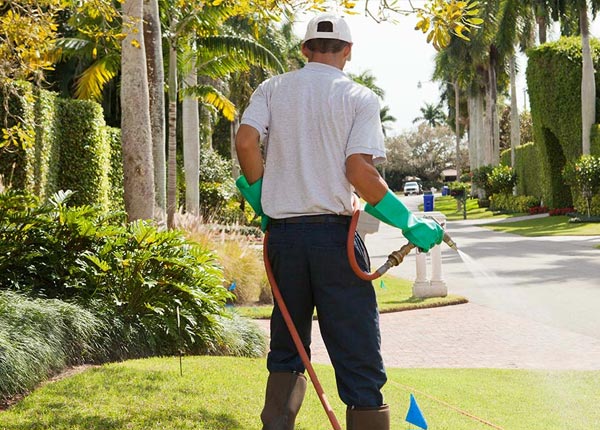 About Cascade CO Pest Control